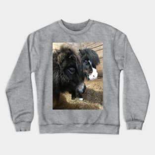 Indy and Piglet Crewneck Sweatshirt